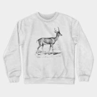 Fawn Deer Black White Vintage Animal Illustration Crewneck Sweatshirt